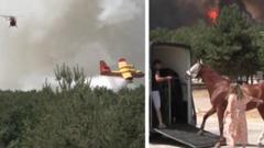 Horses Relocated as Wildfire Threatens Equestrian Center Near Paris